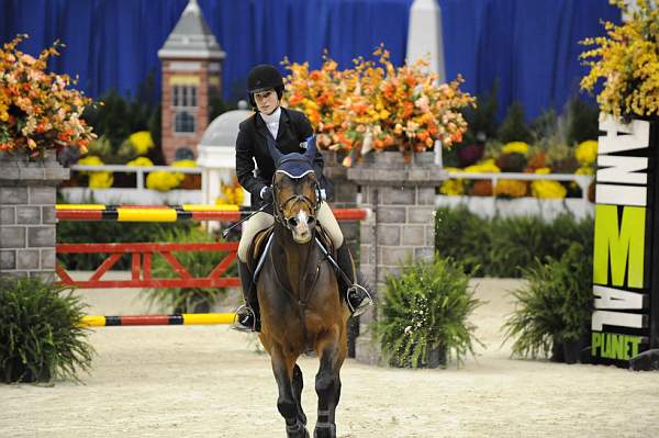 WIHS-10-22-09-DSC_5697-Iscariote-JessicaSpringsteen-JrJpr-Sponsors-AnimalPlanet-DDeRosaPhoto.jpg