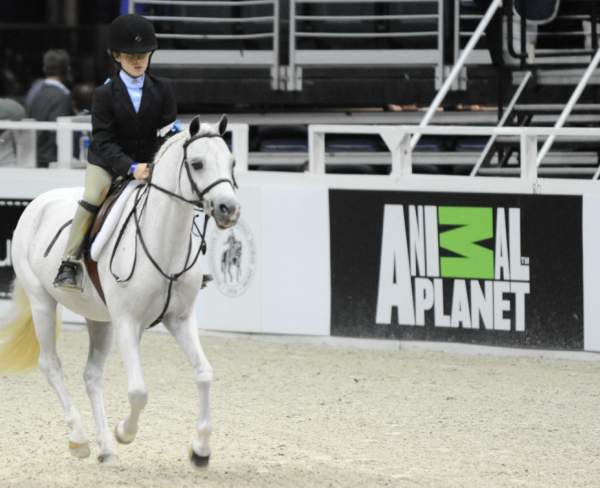WIHS-10-24-09-DER_7844-CardiffMardiGras-SabrinaSlagowitz-Sponsors-AnimalPlanet-DDeRosaPhoto.jpg
