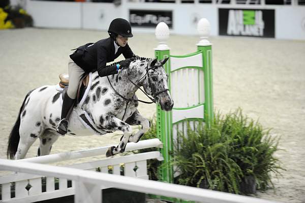 WIHS-10-25-09-DSC_1861-Trillville-AshtonAlexander-Sponsors-AnimalPlanet-DDeRosaPhoto.jpg