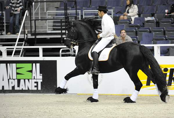 WIHS-10-25-09-DSC_3070-WOH-WishUponASter-Sponsors-AnimalPlanet-DDeRosaPhoto.jpg