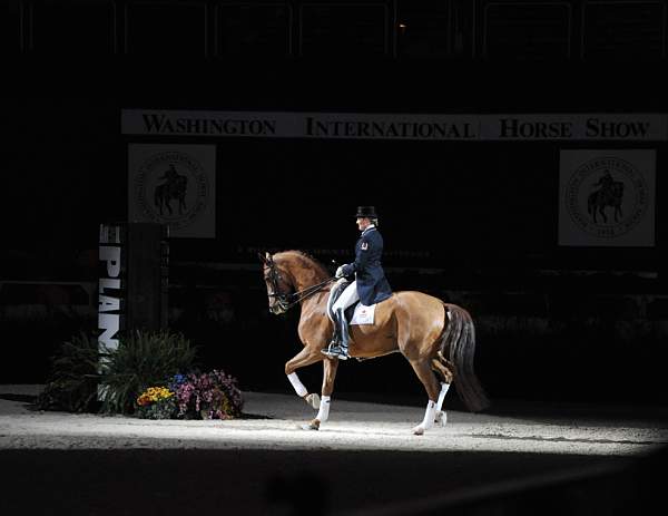 WIHS-19-23-09-DER_7353-AshleyHolzer-PopArt-Sponsors-AnimalPlanet-DDeRosaPhoto.jpg