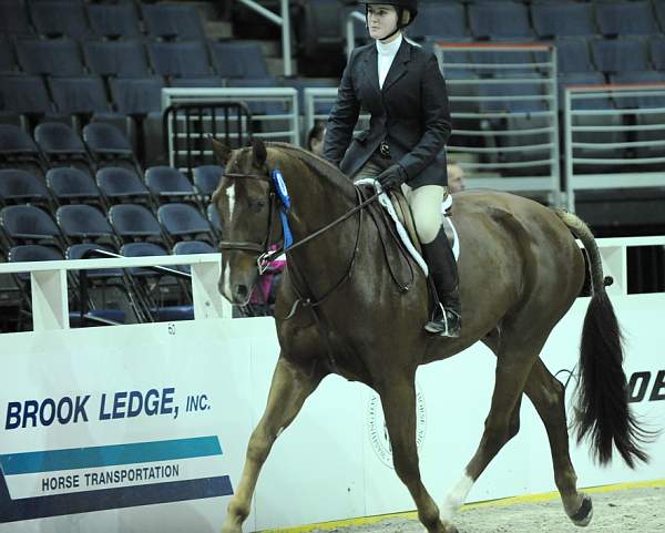 WIHS-10-23-10-WIHSJrEqHtr-DSC_8410-Travino-SamanthaSchaefer-DDeRosaPhoto.jpg