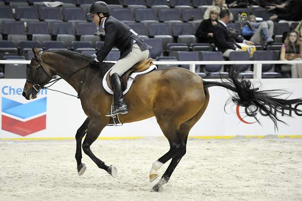 WIHS-10-20-09-DSC_9913-Castlewalk-ScottStewart-Sponsors-Chevron-DDeRosaPhoto.jpg