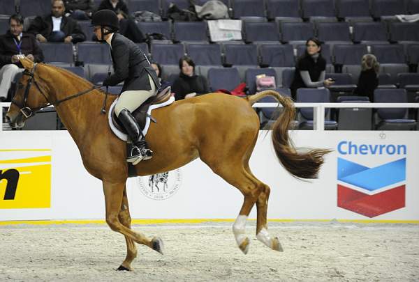 WIHS-10-20-09-DSC_9935-JerseyBoy-JenniferAlfano-Sponsors-Chevron-DDeRosaPhoto.jpg