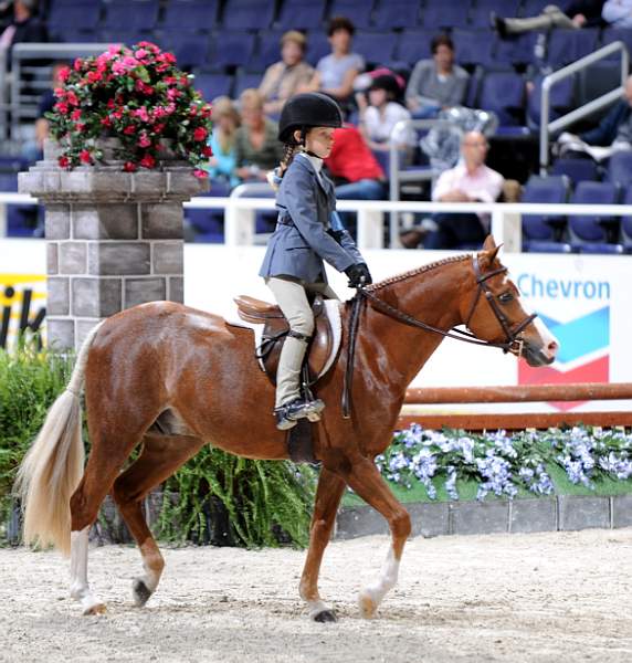 WIHS-10-24-09-DER_7862-RoshelsBitOBlue-BrittanyTarman-Sponsors-Chevron-DDeRosaPhoto.jpg