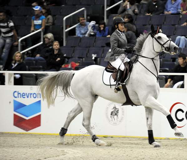 WIHS-10-24-09-DSC_9674-OpenJprs-Sponsors-Chevron-DDeRosaPhoto.jpg