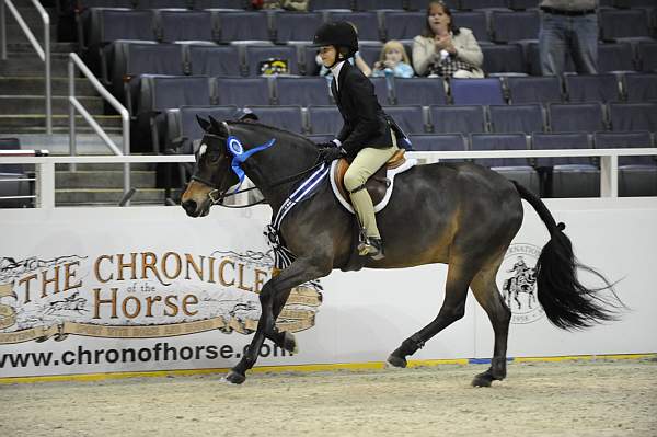 WIHS-10-24-09-Cl185WIHSPnyEqFinals-DER_8356-Tango-MadelynKeck-Sponsors-Chronicle-DDeRosaPhoto.jpg