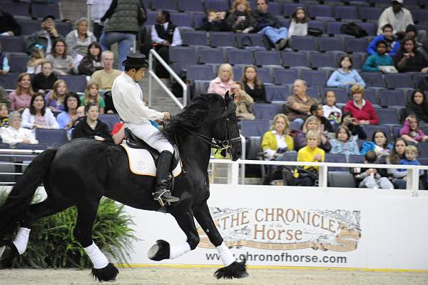 WIHS-10-25-09-DSC_3016-WOH-WishUponASter-Sponsors-Chronicle-DDeRosaPhoto.jpg