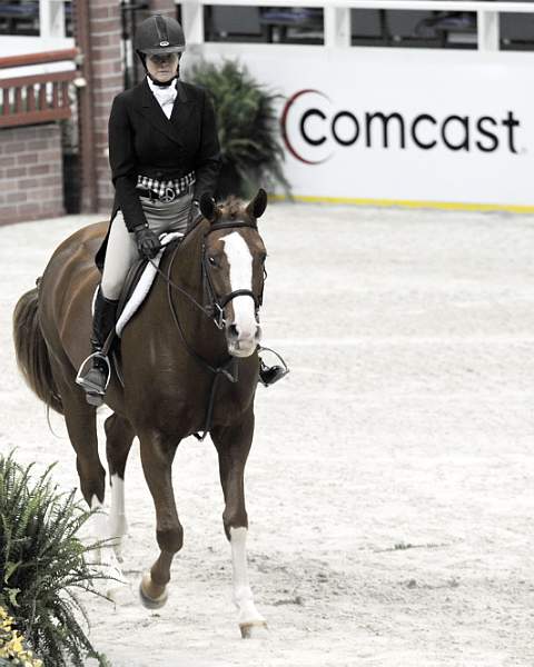WIHS-10-21-09-DSC_1280-Quintessential-WinnAlden-Sponsors-Comcast-DDeRosaPhoto.jpg