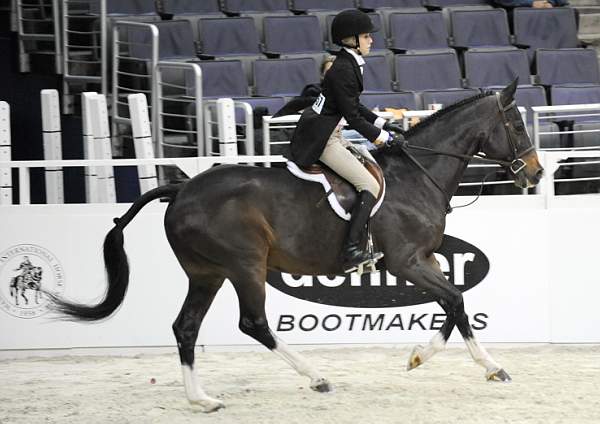 WIHS-10-20-09-DSC_0813-Castille-AliSelman-Sponsors-Dehner-DDeRosaPhoto.jpg