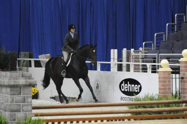 WIHS-10-20-09-DSC_9407-Nice-TerryBrown-Sponsors-Dehner-DDeRosaPhoto.jpg