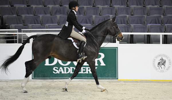 WIHS-10-20-09-DSC_0814-Castille-AliSelman-Sponsors-Dover-DDeRosaPhoto.jpg