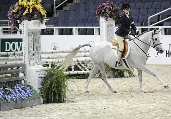 WIHS-10-25-09-LgPnyHtr-DSC_2171-Hallelujah-DanaRizzo-Sponsors-Dover-DDeRosaPhoto-Dover.jpg