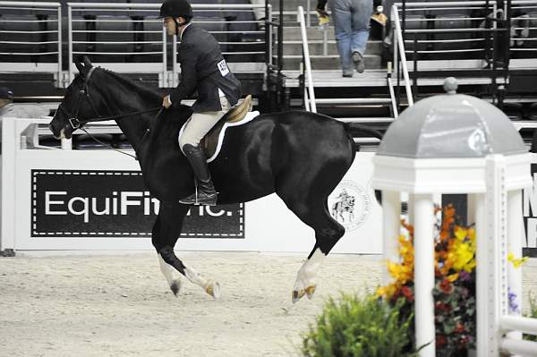 WIHS-10-20-09-DSC_9889-Grafite-DanielGeitner-Sponsors-EquFit-DDeRosaPhoto.jpg