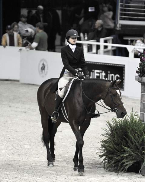 WIHS-10-21-09-DSC_1289-Gianni-MaggieJayne-Sponsors-EquiFit-DDeRosaPhoto.jpg