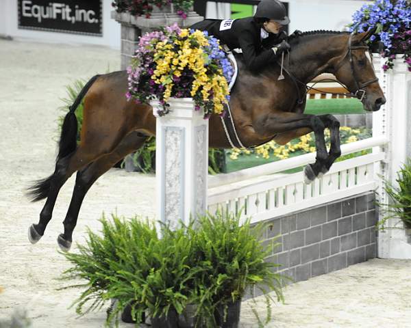 WIHS-10-21-09-DSC_1297-Gianni-MaggieJayne-Sponsors-EquiFit-DDeRosaPhoto.jpg