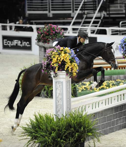 WIHS-10-21-09-DSC_1416-Sanmorino-JackHammond-Sponsors-EquiFit-DDeRosaPhoto.jpg