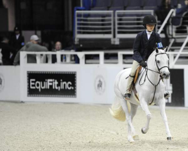 WIHS-10-24-09-DER_7837-Elation-MeredithDarst-Sponsors-EquiFit-DDeRosaPhoto.jpg
