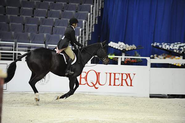 WIHS-10-20-09-DSC_1030-Lynchalla-RobinFeldman-Sponsors-Equiery-DDeRosaPhoto.jpg