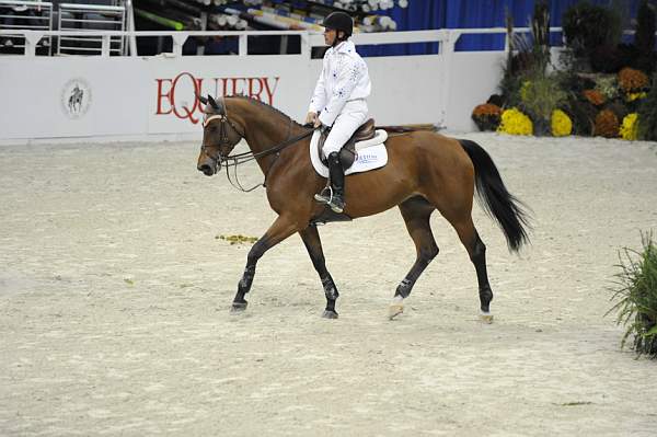 WIHS-10-22-10-Gamblers-DSC_7036-Olinda-ToddMinikus-Sponsors-Equiery-DDeRosaPhoto.jpg