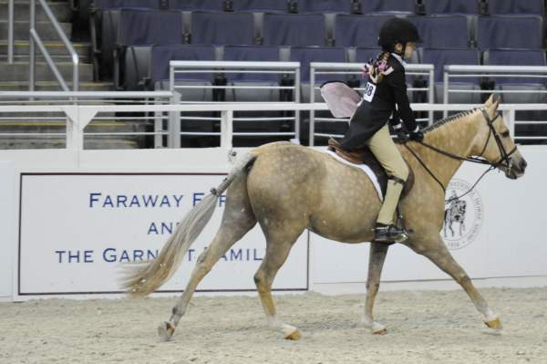 WIHS-10-25-09-DSC_2091-Sponsors-FarawayFarm-DDeRosaPhoto.jpg