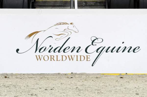 NordenEquine-WIHS-10-25-09-DSC_2759-DDeRosaPhoto.jpg