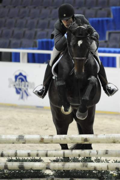 WIHS-10-20-09-DSC_9409-Nice-TerryBrown-Sponsors-Pedigree-DDeRosaPhoto.jpg