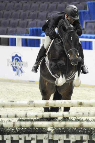 WIHS-10-20-09-DSC_9444-Declaration-ScottStewart-Sponsors-Pedigree-DDeRosaPhoto.jpg