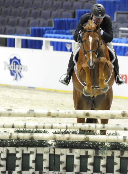 WIHS-10-20-09-DSC_9473-WayCool-ScottStewart-Sponsors-Pedigree-DDeRosaPhoto.jpg