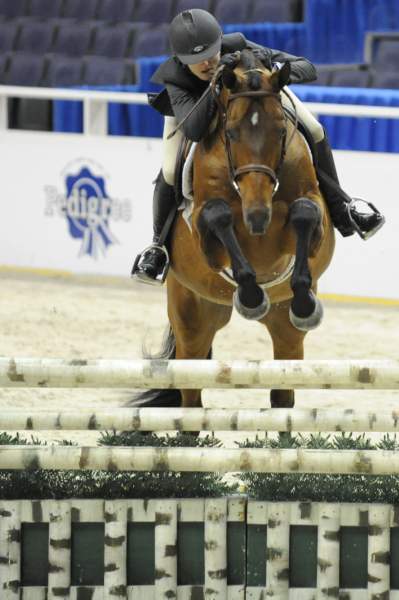 WIHS-10-20-09-DSC_9487-EarlyApplause-MaggieJayne-Sponsors-Pedigree-DDeRosaPhoto.jpg