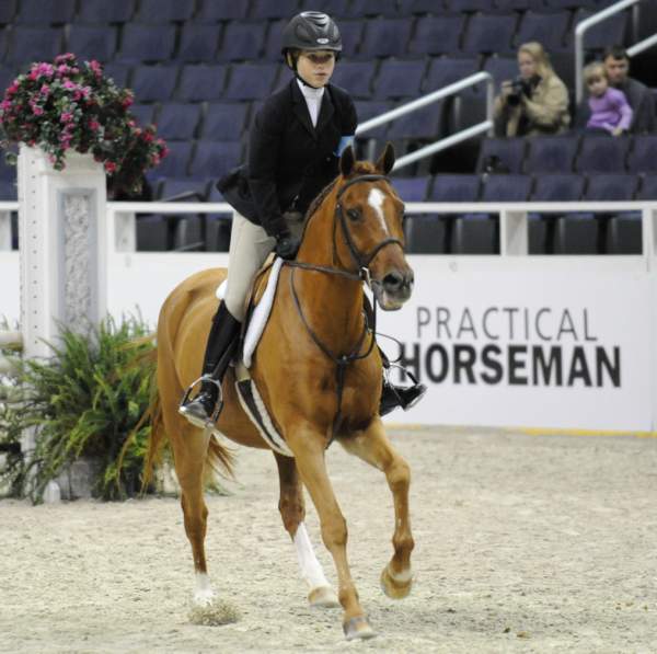 WIHS-10-25-09-DSC_2238-LandsEndMadHatter-LucilleOken-Sponsors-Practical-DDeRosaPhoto.jpg