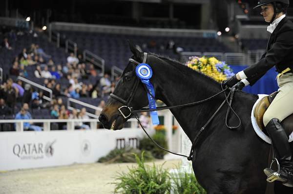 WIHS-10-25-09-LocalHtrHrs-DSC_2864-GranTurismo-AngeeQuattro-Kerns-Sponsors-Qatar-DDeRosaPhoto.jpg