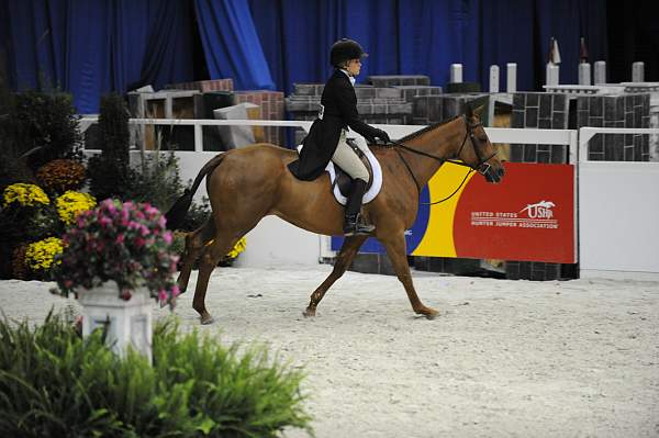 WIHS-10-20-09-DSC_0858-BusinessAsUsual-SophiaBednarik-Sponsors-USHJA-DDeRosaPhoto.jpg