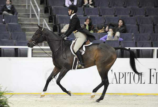 WIHS-10-20-09-DSC_0943-PerfectGentleman-BrittanyWyatt-DDeRosaPhoto.jpg