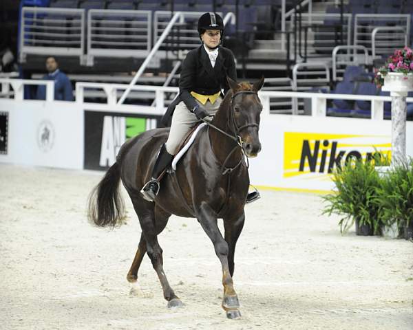 WIHS-10-20-09-DSC_1015-Indulgence-JodyRuth-DDeRosaPhoto.jpg