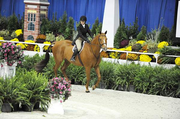 WIHS-10-20-09-DSC_1082-Chauncey-HeatherHawkins-sh-DDeRosaPhoto.jpg