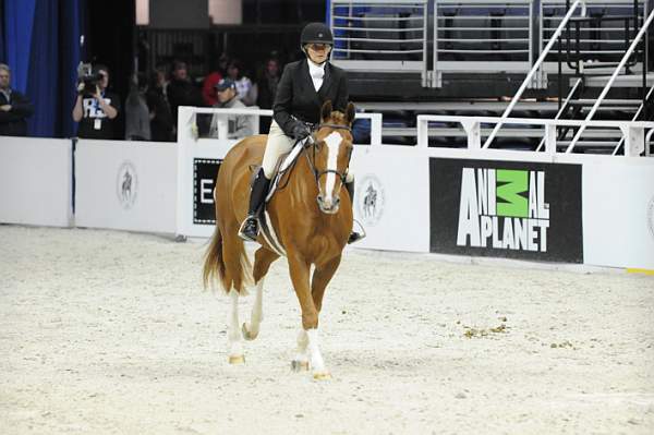 WIHS-10-20-09-DSC_1105-N'Style-BettyAnnKolba-DDeRosaPhoto.jpg