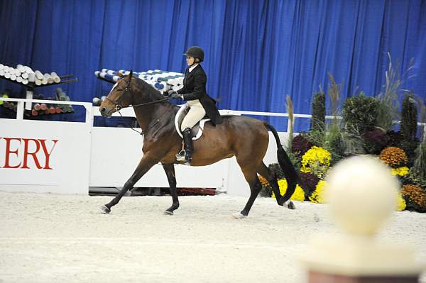 WIHS-10-20-09-DSC_1114-SurfsUp-CindySchmidt-DDeRosaPhoto.jpg