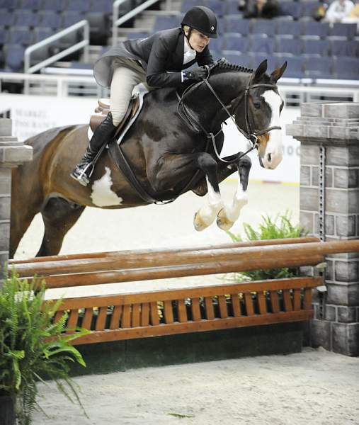WIHS-10-20-09-DSC_1138-Peppercorn-MaryTyree-DDeRosaPhoto.jpg