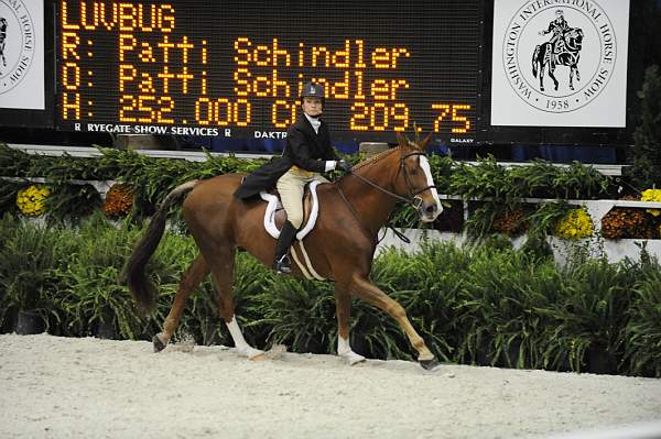 WIHS-10-20-09-DSC_1144-Luvbug-PattiSchindler-DDeRosaPhoto.jpg