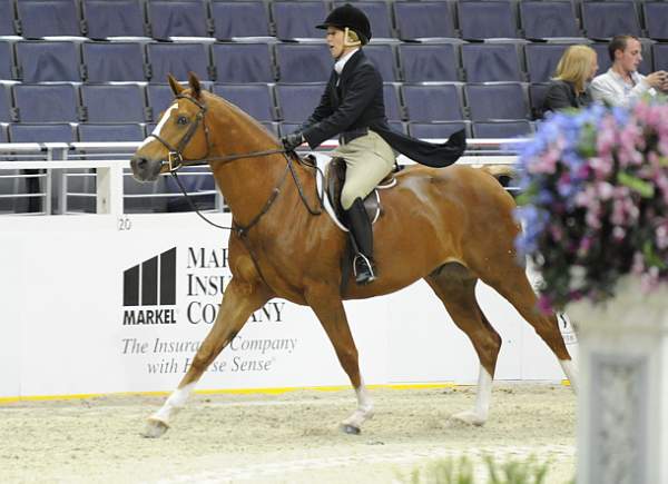 WIHS-10-20-09-DSC_1256-Vermilion-AinsleySadlo-DDeRosaPhoto.jpg