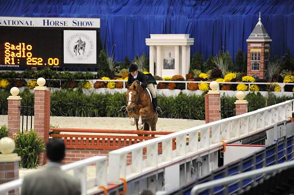 WIHS-10-20-09-DSC_1258-Vermilion-AinsleySadlo-DDeRosaPhoto.jpg