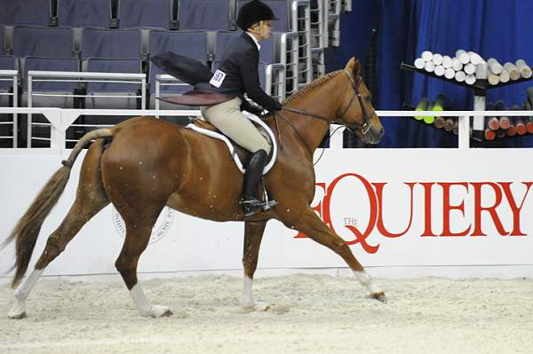 WIHS-10-20-09-DSC_1040-Vermilion-AinsleySadlo-DDeRosaPhoto.jpg