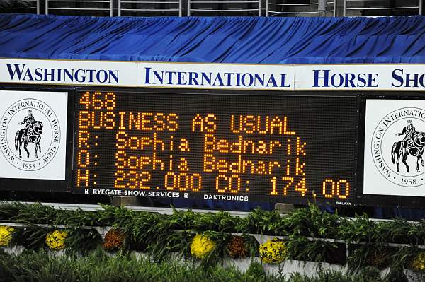 WIHS-10-20-09-DSC_0605-BusinessAsUsual-SophiaBednarik-DDeRosaPhoto.jpg
