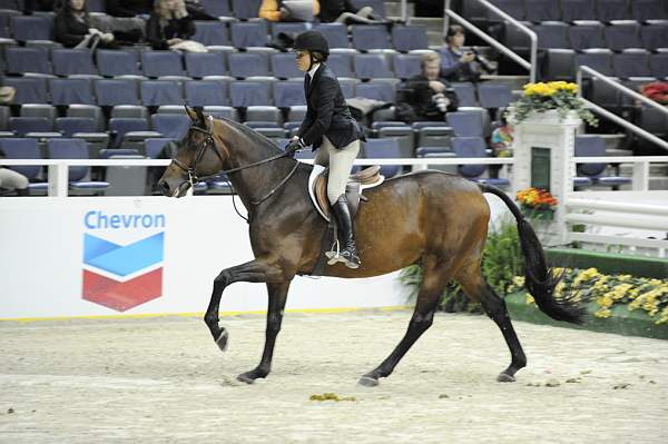 WIHS-10-23-09-WIHSJrEqHtr-DSC_8185-Spock-TaylorKain-DDeRosaPhoto.jpg