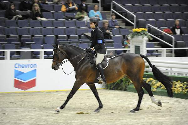 WIHS-10-23-09-WIHSJrEqHtr-DSC_8234-Graphiq-ChaseBoggio-DDeRosaPhoto.jpg