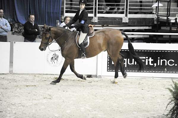 WIHS-10-23-09-WIHSJrEqHtr-DSC_8249-Borealus-KatieDinan-DDeRosaPhoto.jpg