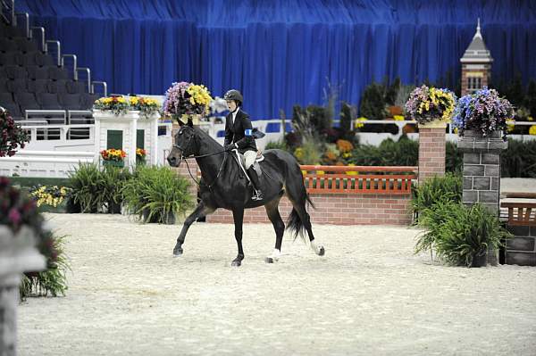 WIHS-10-23-09-WIHSJrEqHtr-DSC_8262-DonJuan-CaitlinHope-DDeRosaPhoto.jpg