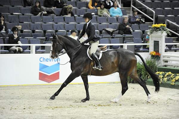 WIHS-10-23-09-WIHSJrEqHtr-DSC_8329-CommonSense-HayleyBarnhill-DDeRosaPhoto.jpg