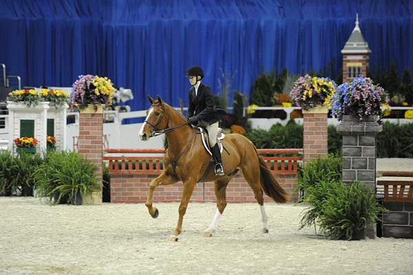 WIHS-10-23-09-WIHSJrEqHtr-DSC_8333-Patrick-LucyDavis-DDeRosaPhoto.jpg